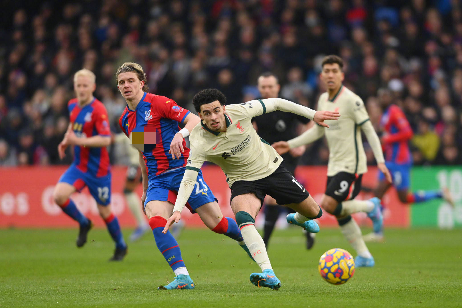 仅展示了席 仅展示了席